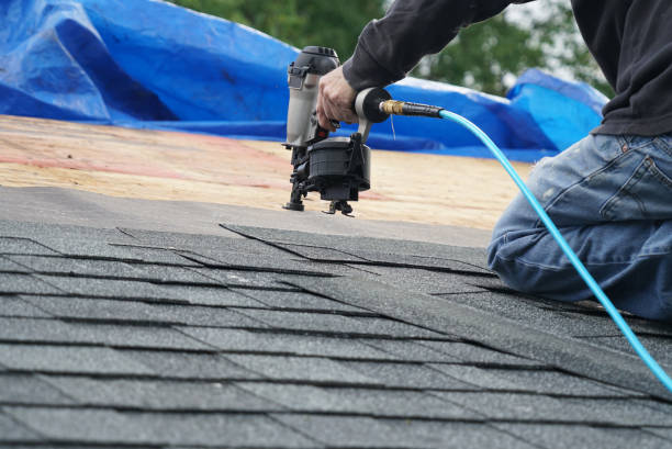 Best Roof Gutter Cleaning  in Mcdonald, OH