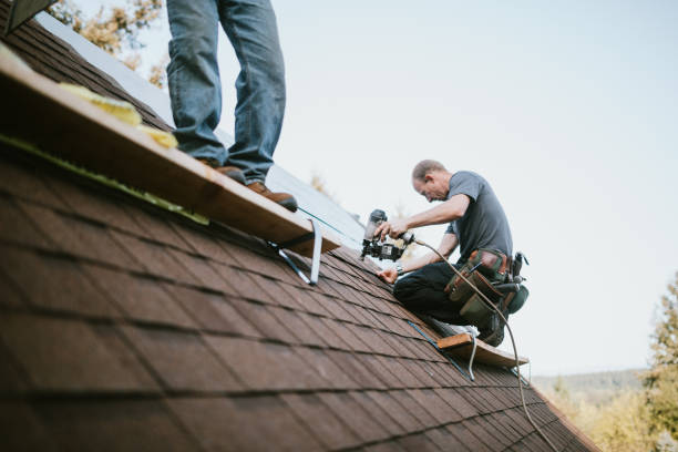 Best Local Roofing Companies  in Mcdonald, OH